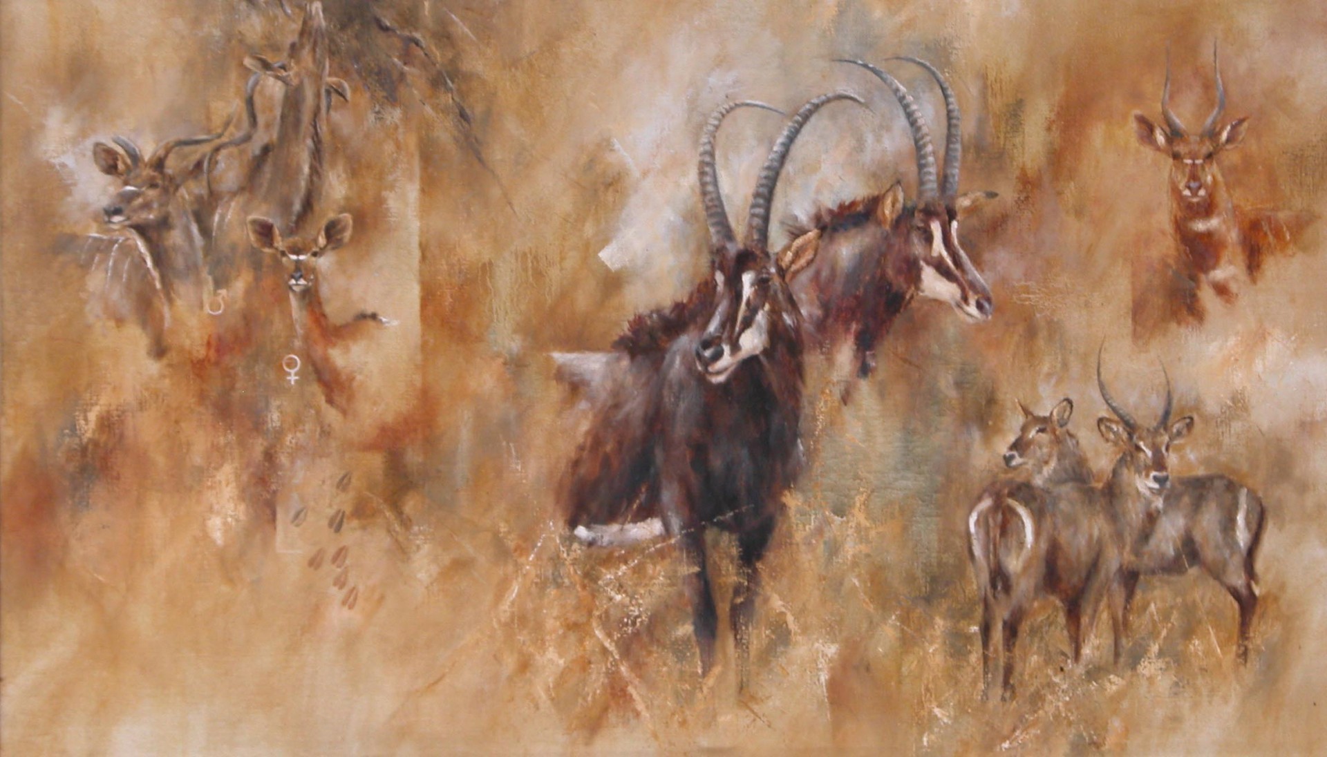 Kudus And Sables